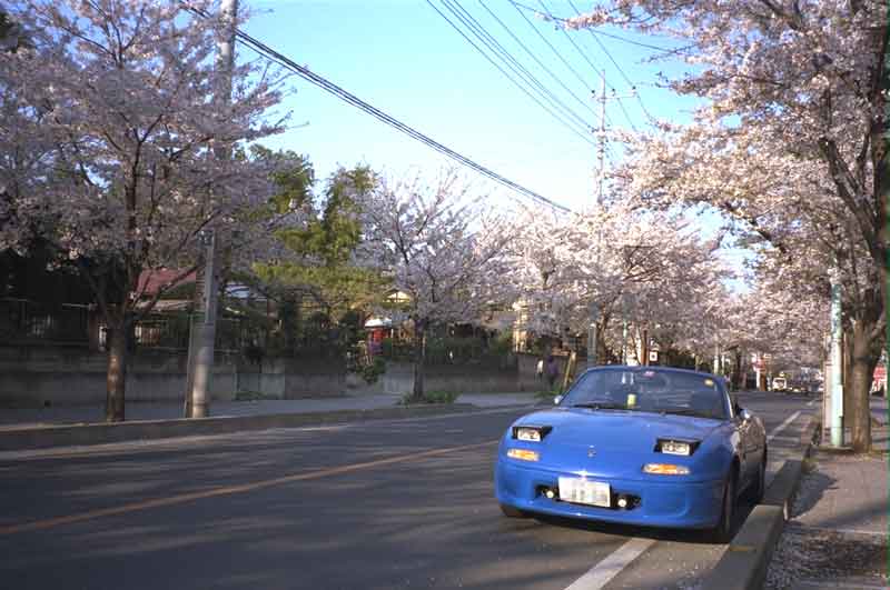 ROADSTAR WITH CHERRY TREES