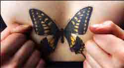 スワロウテイル・バタフライ